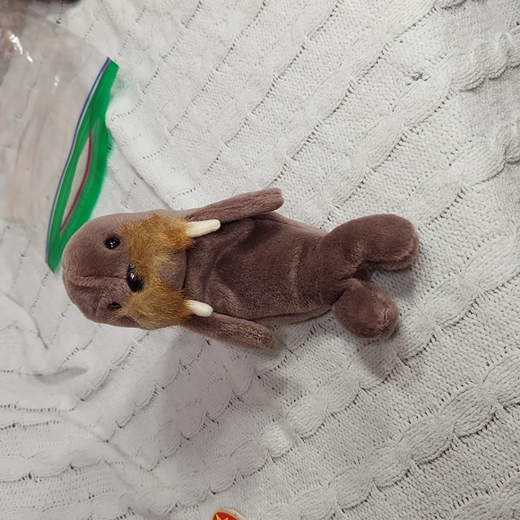 🕸Vintage Ty Beanie Baby Original Jolly the Walrus P.E. Pellets 1996 - Picture 2 of 10